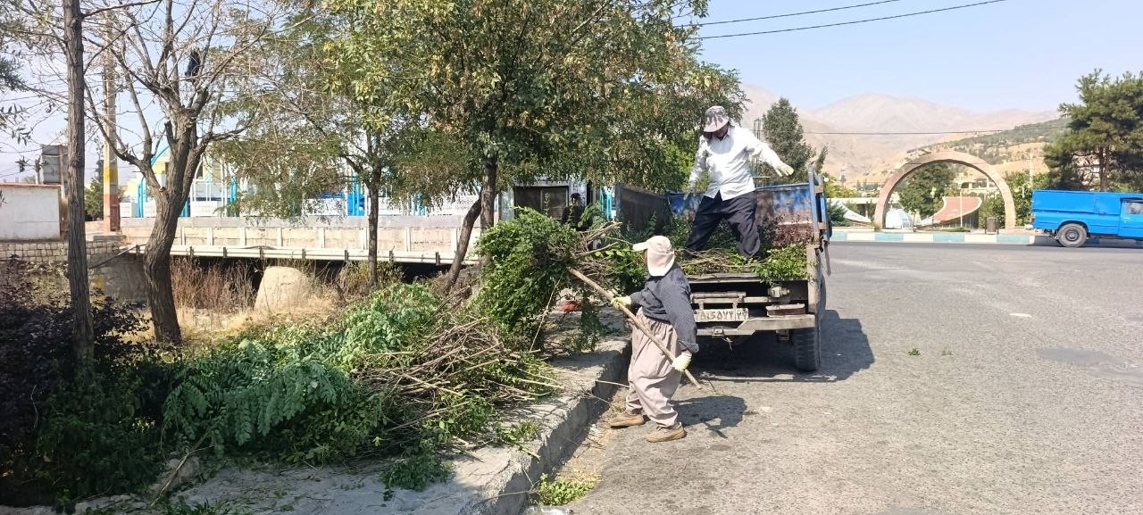 پاکسازی و فرم‌دهی شمشادها در خیابان شهید رجایی و وجین‌کاری بلوار انقلاب توسط نیروهای فضای سبز اشنویه